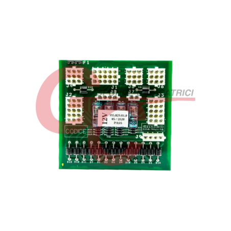 SCHEDA ANTEO 12V 110025
